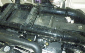 OTHER +HD. XL1200V 2013