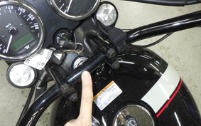KAWASAKI W800 STREET 2022 EJ800E