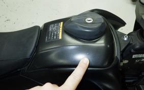 YAMAHA WR250X DG15J