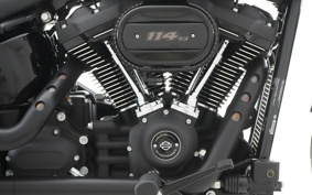 HARLEY FXLRS 2019 YWK