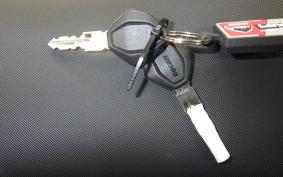 DUCATI HYPERMOTARD698 2025