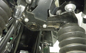 KAWASAKI W800 CAFE 2021 EJ800B