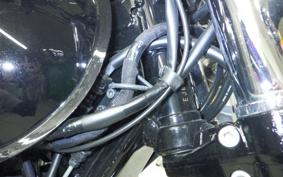 KAWASAKI W800 2023 EJ800E