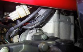 OTHER メガリ 250R 2011