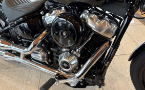 HARLEY FXST1340-1450 2023 BVJ