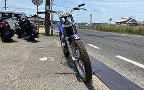 SCORPA SY250