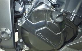 KAWASAKI Z250 A 2021 ER250C