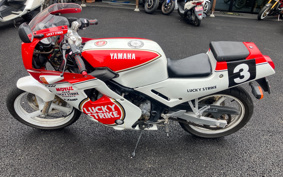 YAMAHA FZR250 2KR