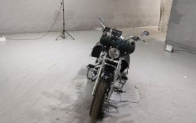 HARLEY XL1200C 2015 CT3