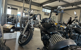 HARLEY FXBB 2020 YJJ