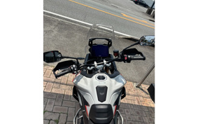 TRIUMPH TIGER 900 RALLY PRO 2025 TRC83D