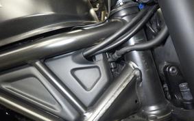HONDA REBEL 250 S 2019 MC49