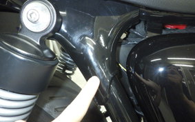 TRIUMPH SPEED TWIN 900 2023
