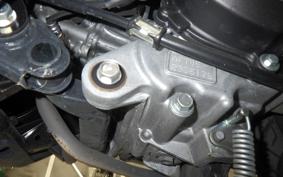 HONDA TACT-4ﾍﾞｰｼｯｸ 2025 AF79