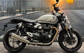 TRIUMPH SPEED TWIN 2025 DD0H28