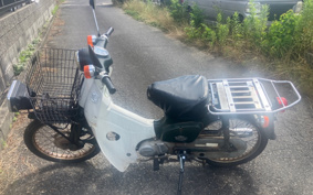 HONDA SUPER CUB50 C50