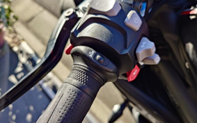 TRIUMPH SPEED TRIPLE RS 2018 TPN275