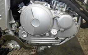 YAMAHA TRICKER DG10J