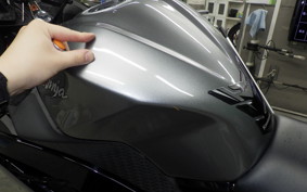 KAWASAKI NINJA 250 ABS EX250L
