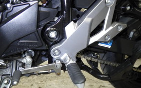 SUZUKI V-STROM 250