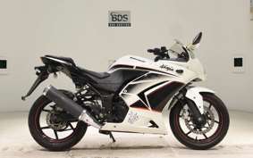 KAWASAKI NINJA 250R 2022 EX250K