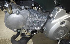 HONDA CROSS CUB 110 2019 JA60