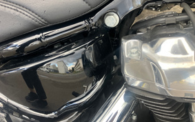 HARLEY FXST1340-1450 2023 BVJ