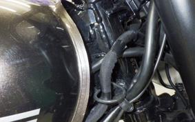 KAWASAKI W800 CAFE 2020 EJ800B