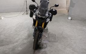 TRIUMPH  TRIUMPH  TIGER 900 RALLY  PRO  2021 TRE67D