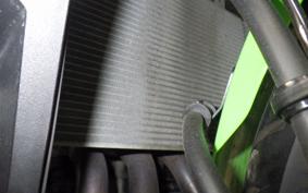 KAWASAKI ZX-4RR 2024 ZX400P