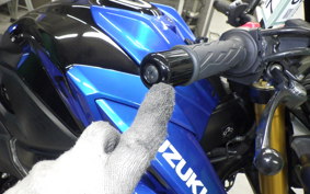 SUZUKI GSX-S750 2023 C533F