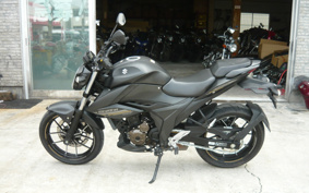 SUZUKI JIKUSA-250 ED22Y