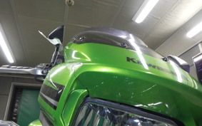 KAWASAKI ZRX1200 D 2010 ZRT20D