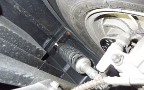 OTHER +UNREGISTERED MODEL by BDS TRIKE125