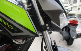 KAWASAKI Z250 EX250P