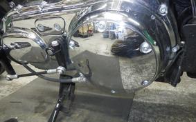 HARLEY XL1200XS 2019