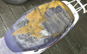 HONDA DIO BAJA 2008 AF28