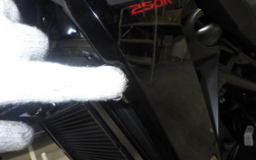 HONDA CB250RA 2009 MC52