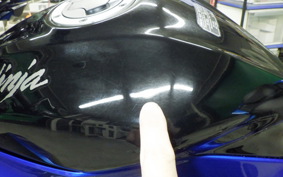 KAWASAKI Z250 SL 2021 BR250E