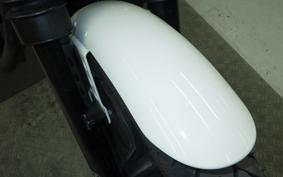 HARLEY XL1200NS 2018