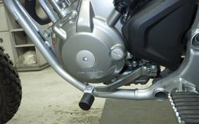 HONDA CRF250L 2021 MD47