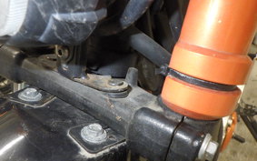 YAMAHA TRICKER DG10J