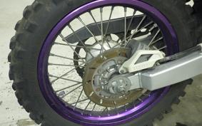 YAMAHA TT250R RAID 4GY