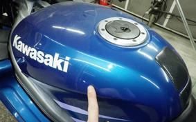 KAWASAKI ZZ-R250 EX250H