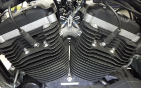 HARLEY XL883N 2010