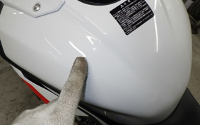 BMW S1000RR M DDC 2023