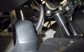 KAWASAKI NINJA 250 2023 EX250P