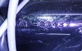 KAWASAKI 500SS 2010 KAF