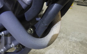 HONDA CRF250L 2025 MD47