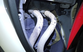 YAMAHA YZF-R25 2019 RG10J